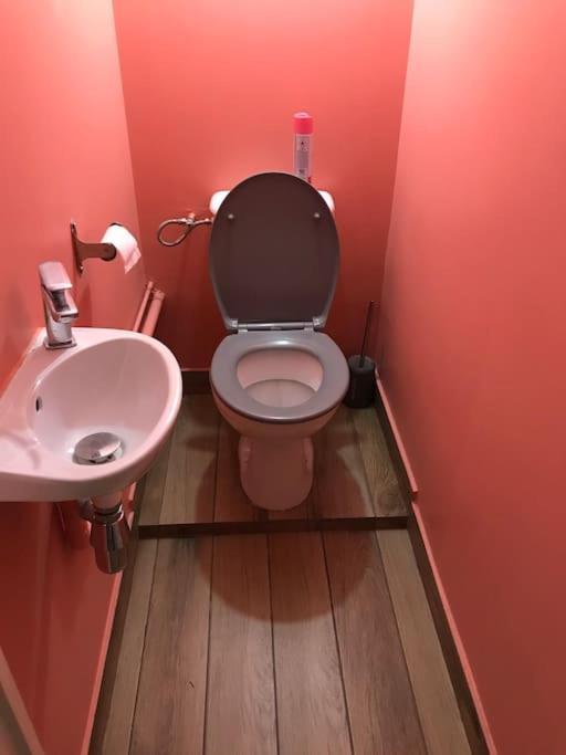 Maison Rez De Jardin Integral Entre Disney & Paris شيل المظهر الخارجي الصورة